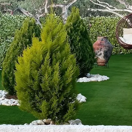 The View For Your Holidays! Edipsos
